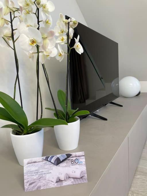 Queen Verona Luxury Apartment Kültér fotó